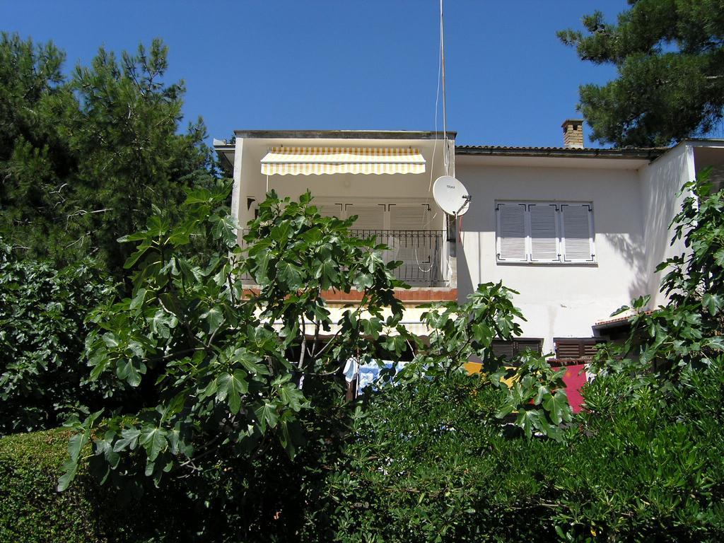 Damijan Krk Town
