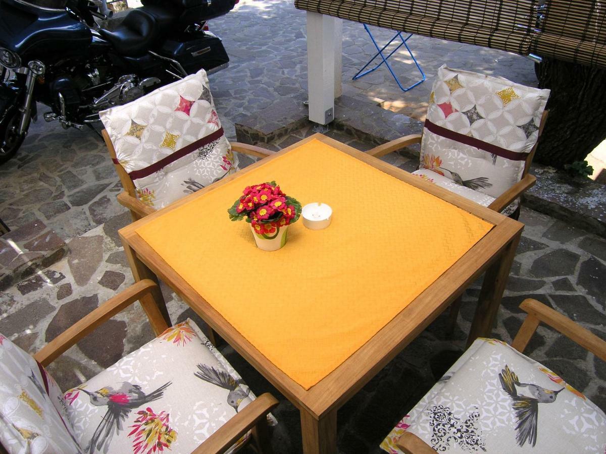 Apartment Damijan *